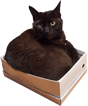 photo de stock pour cette brève