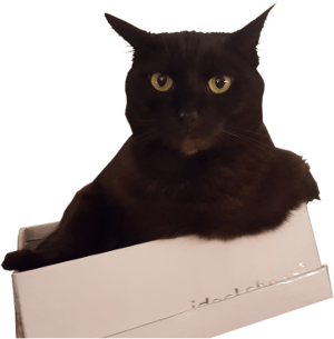 photo de stock pour cette brève