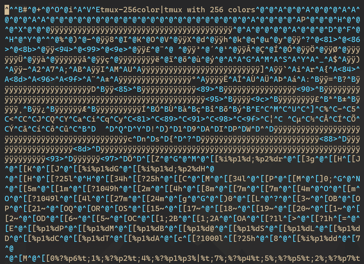 Série de caractères spéciaux pour shell (genre celles qui changent la couleur)