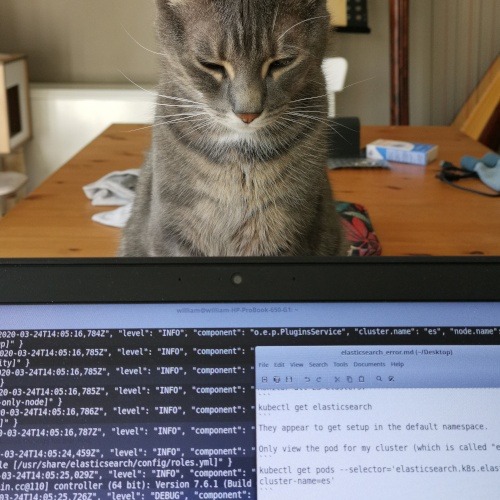 Vignette de l'article