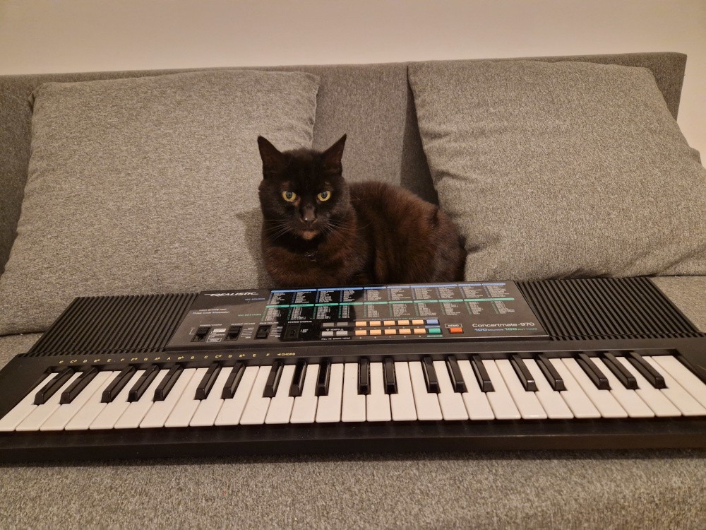 Le clavier en question avec un chat noir derrière