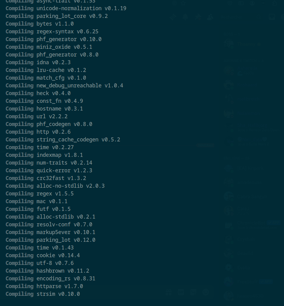 Cargo qui compile un projet Rust, énormément de lignes 'compiling'