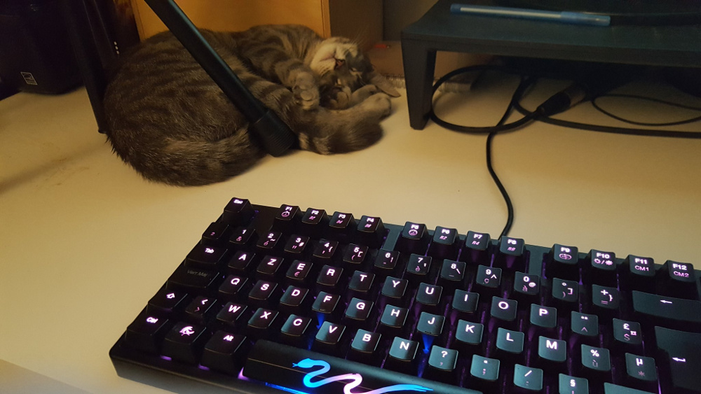 Clavier Ducky Shine 3 TKL, LEDs roses