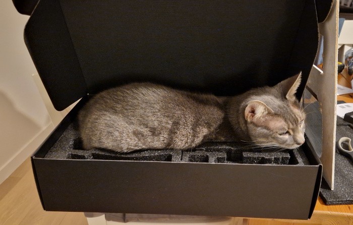 Mon chat couché dans la boite d'une carte graphique avec les mousses encore en place