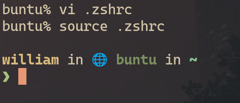 une invite de commande starship simple avec une icone de mappe monde qui montre que je suis connecté en SSH