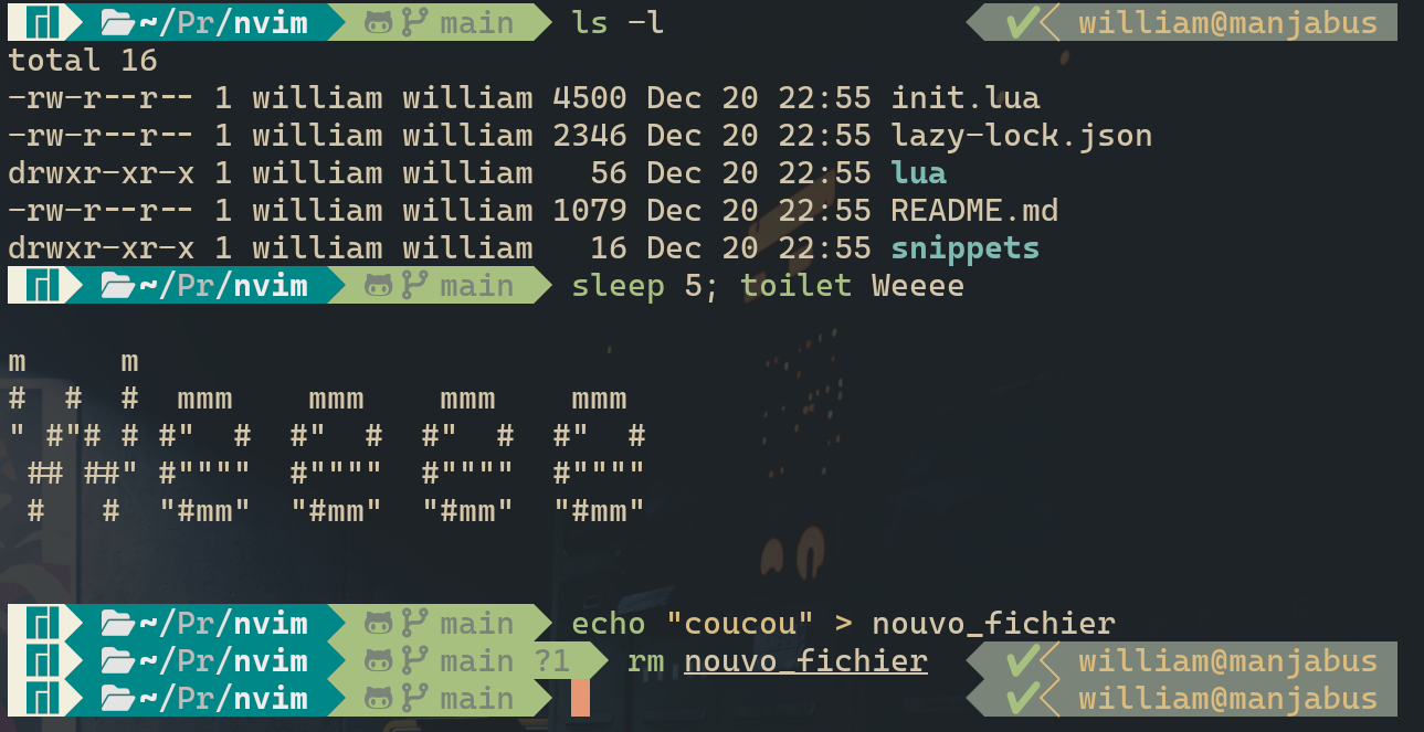 démonstration de l'invite de commande par défaut de Manjaro, aux couleurs de Manjaro