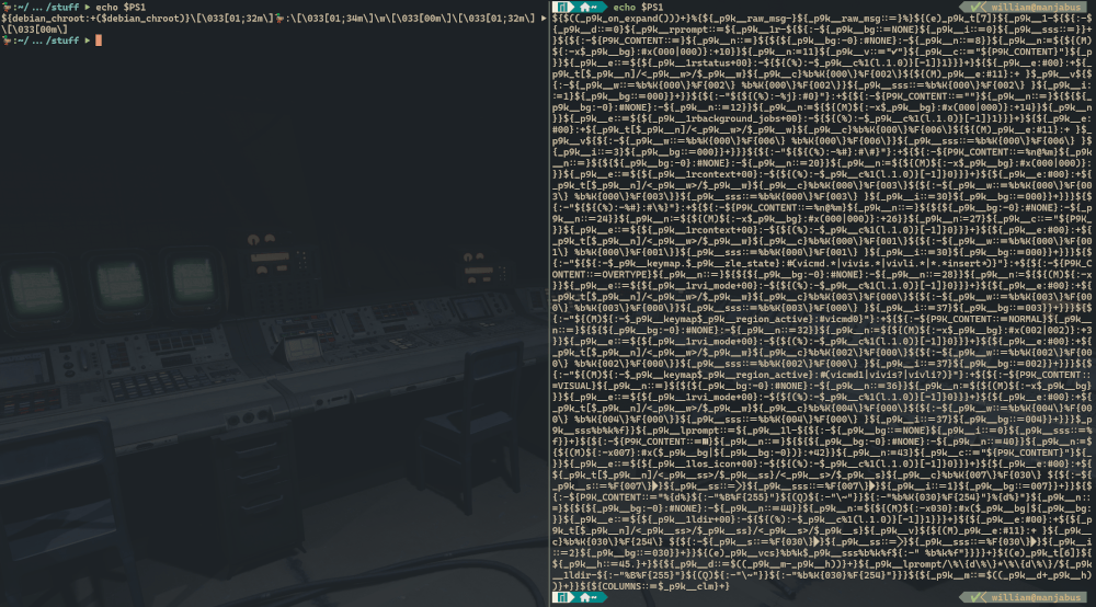 compare les variables $PS1 de Manjaro et mon Ubuntu (bash) côté à côte, la mienne fait moins d'une ligne et celle de Manjaro prend tout l'écran