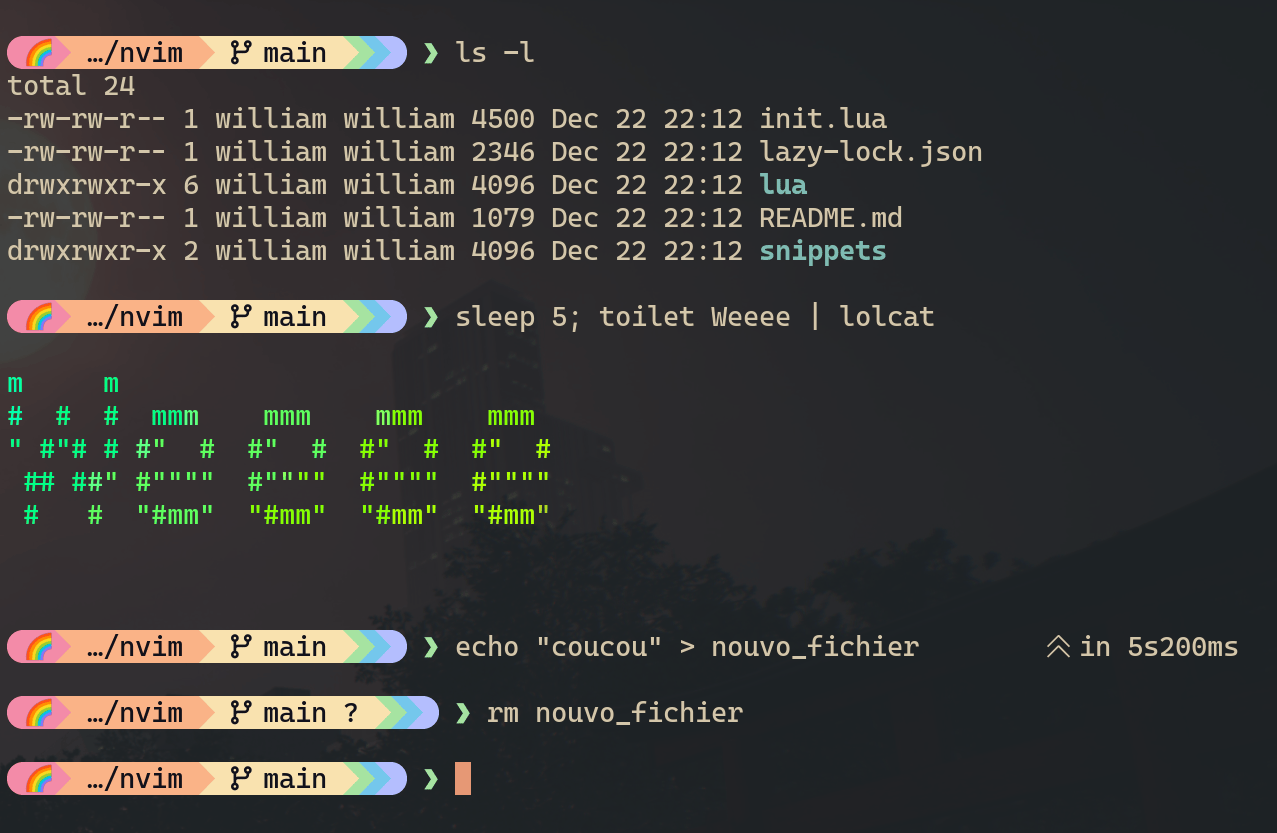 affiche quelques commandes avec l'invite de commande configurée plus haut, montre aussi les indications de repo git